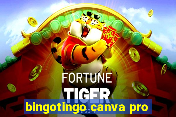 bingotingo canva pro